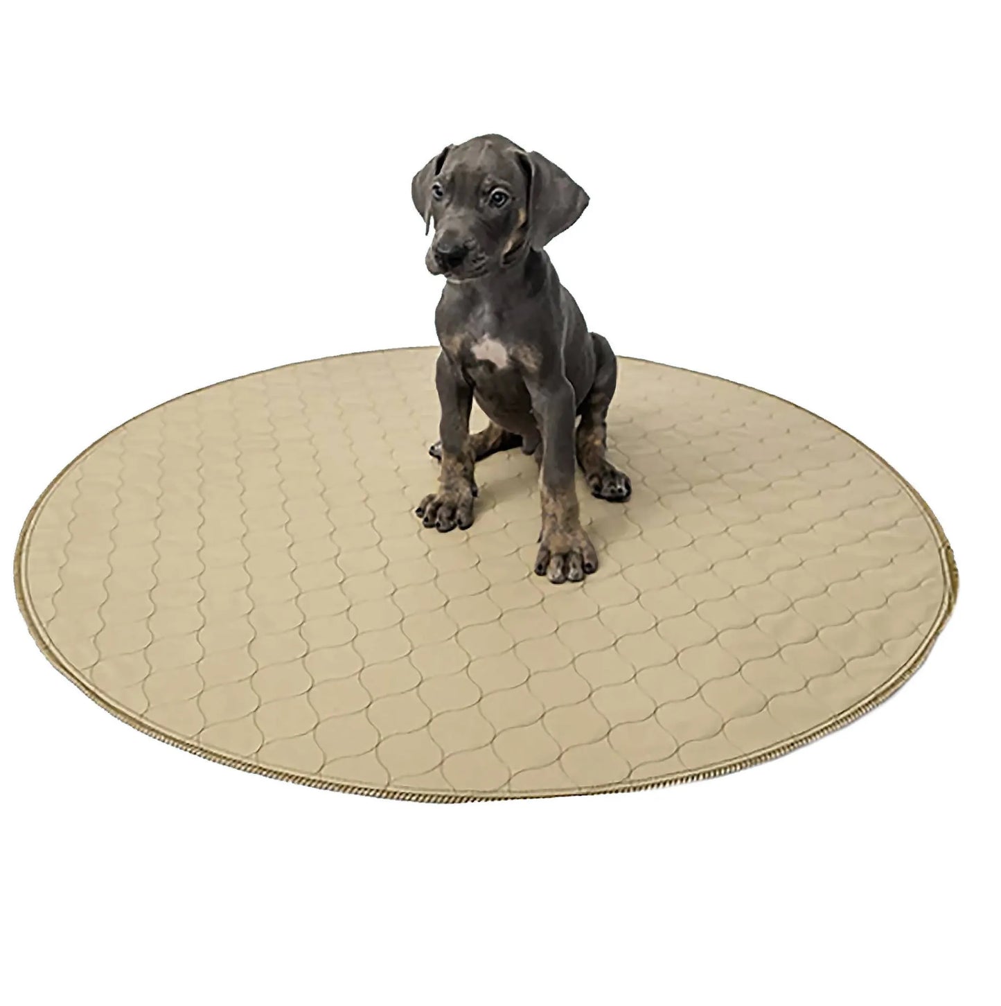 Round - Washable Waterproof Training Dog Pet Puppy P