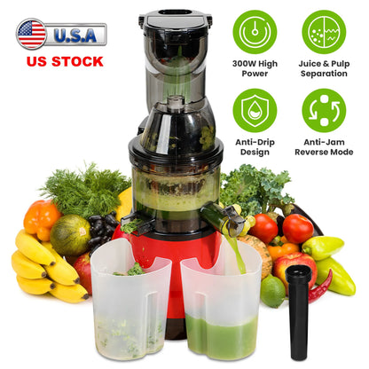 Cold Press Juicer Machine
